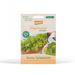 Bunte Salatplatte