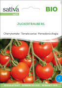 Cherrytomate Zuckertraube